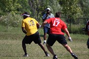 OTFL Gallery Image